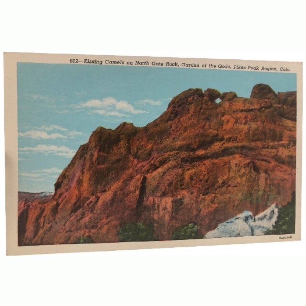Postcard Vintage Kissing Camels 1940